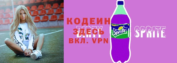 хмурый Липки