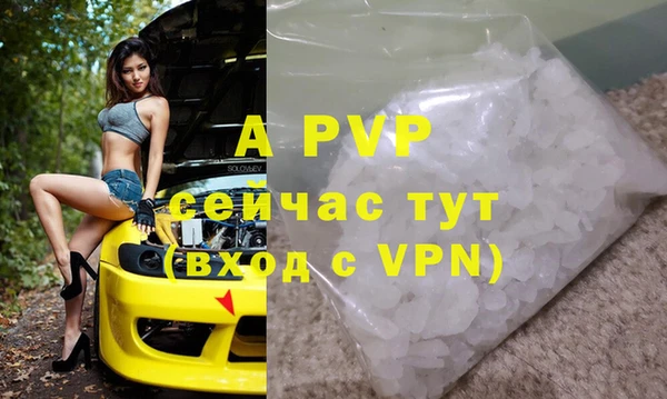 хмурый Липки
